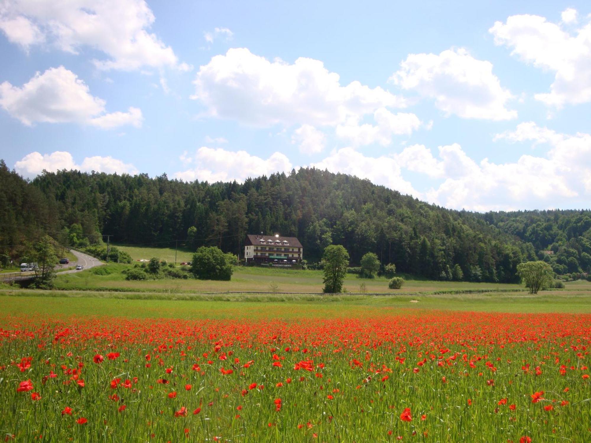 Waldpension Rabeneck Waischenfeld Exterior photo